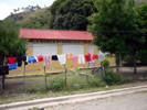 escuela b�sica