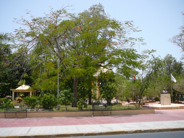 Parque Duarte 1 2008