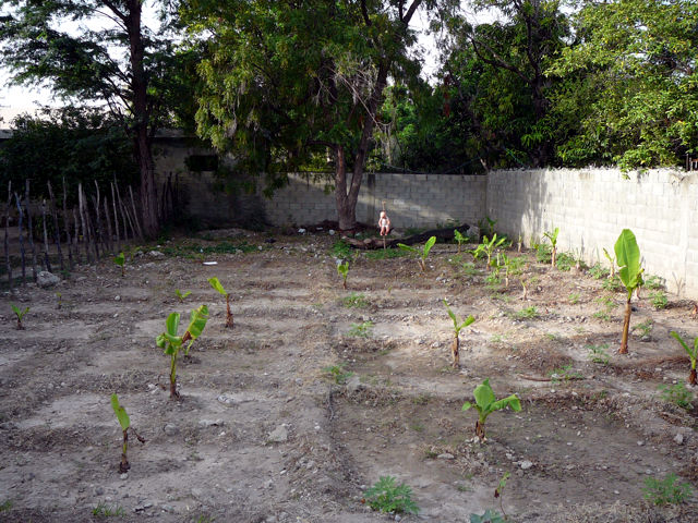 Azua: Espantap�jaros 1