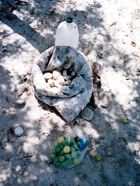 Las almejas y los limones