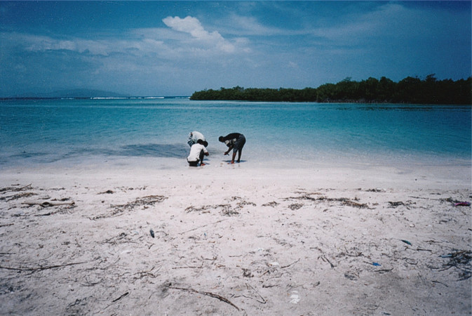 Preparando las almejas