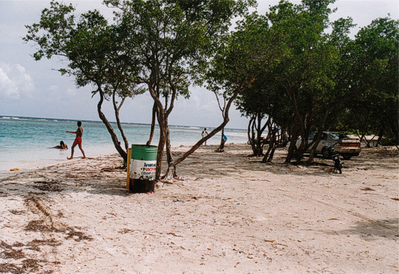 La playa 2a - foto 2004