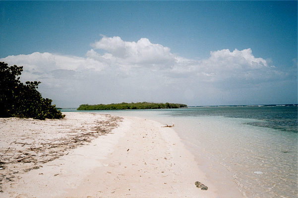 La playa 5 - foto 2004