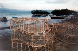 fish traps
