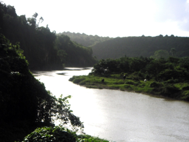 La rivera del R�o de Los Altos de Chav�n
