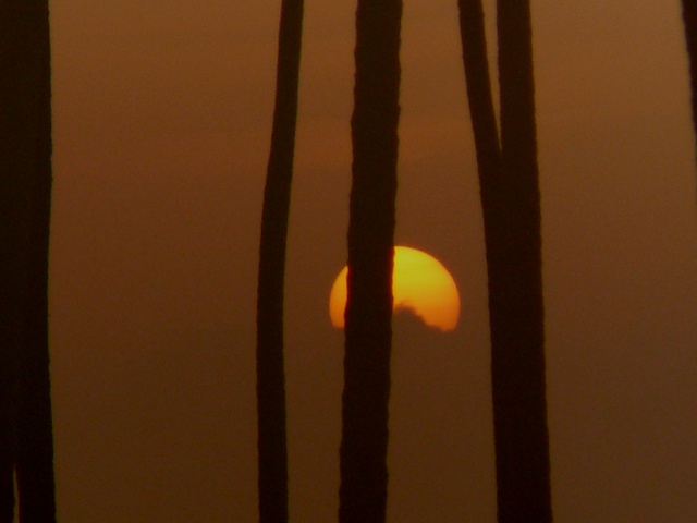 Atardecer en Las Terrenas 2