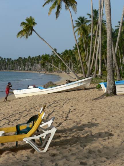 Playa Hotel Viva Wyndham Saman�, Las Terrenas