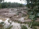 river Blanco 2