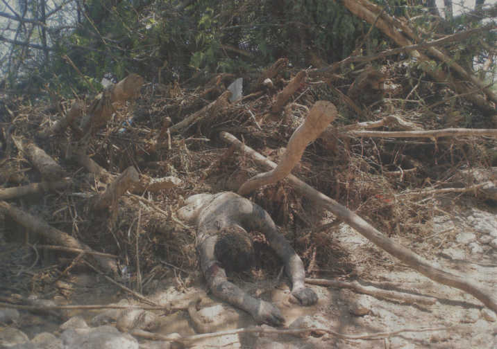 peri�dico holand�s 'de Volkskrant'