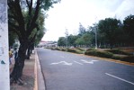 the ground of the university 3